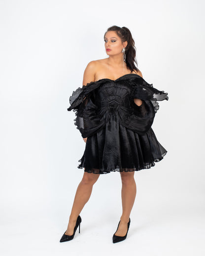 Aurora Boom Flared Dress