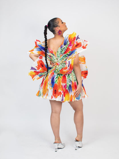 Aurora Boom Flared Dress